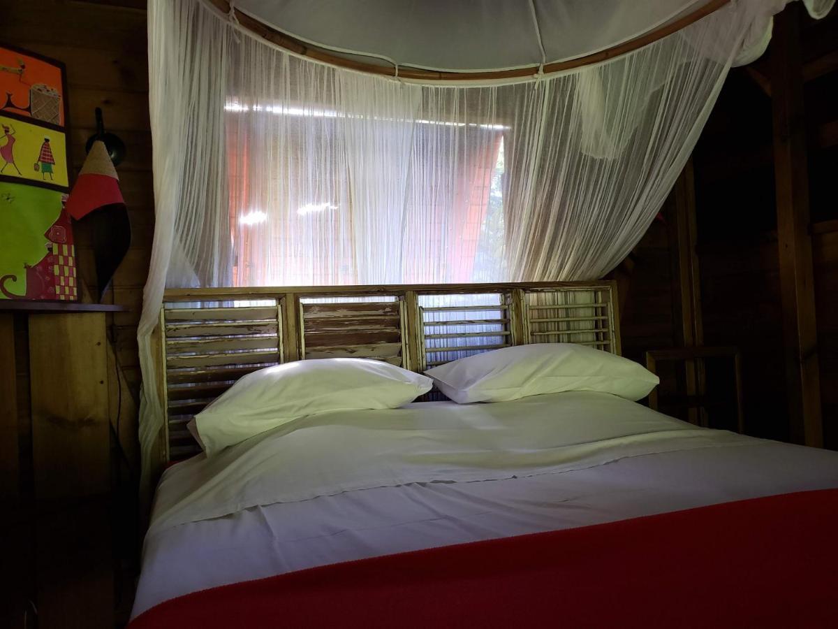 Les Bananes Vertes Ecolodges Saint-Claude Exteriér fotografie