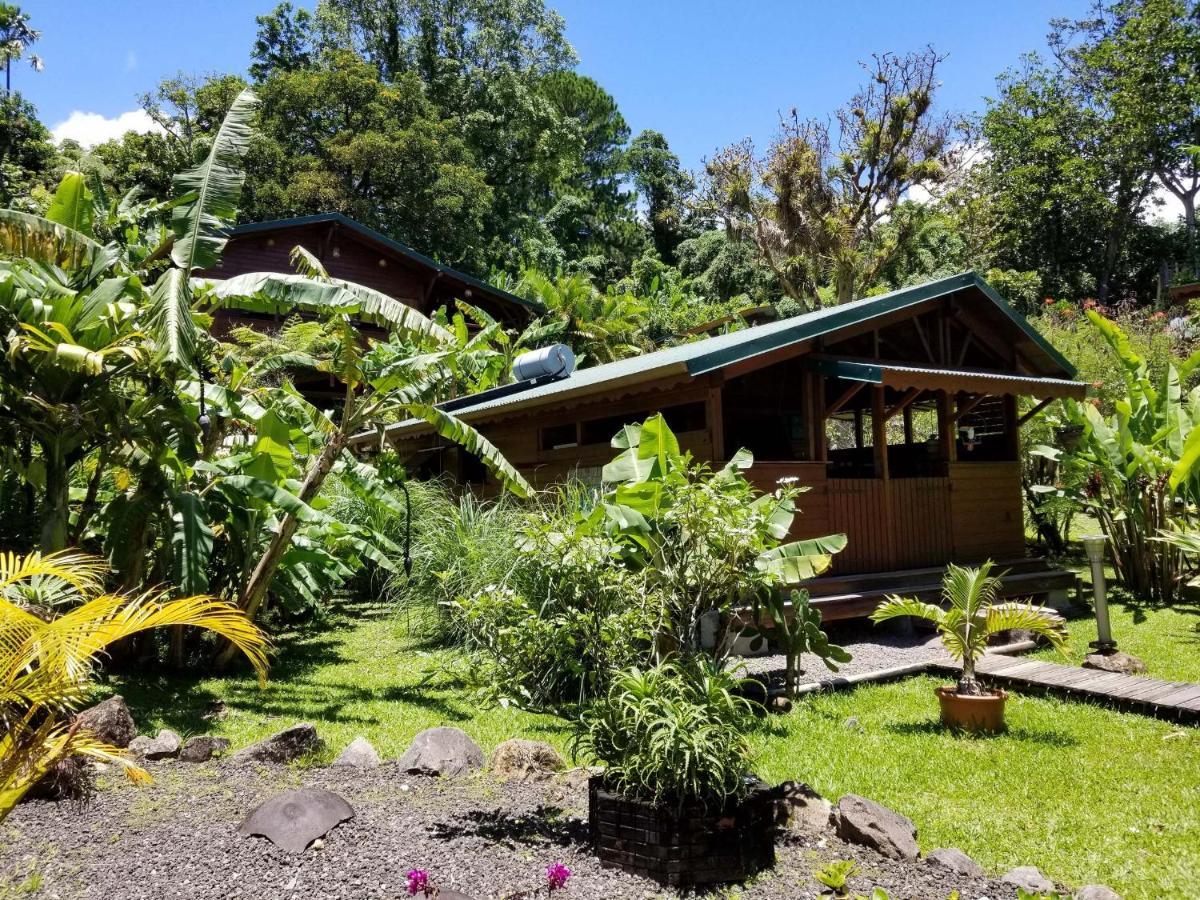 Les Bananes Vertes Ecolodges Saint-Claude Exteriér fotografie