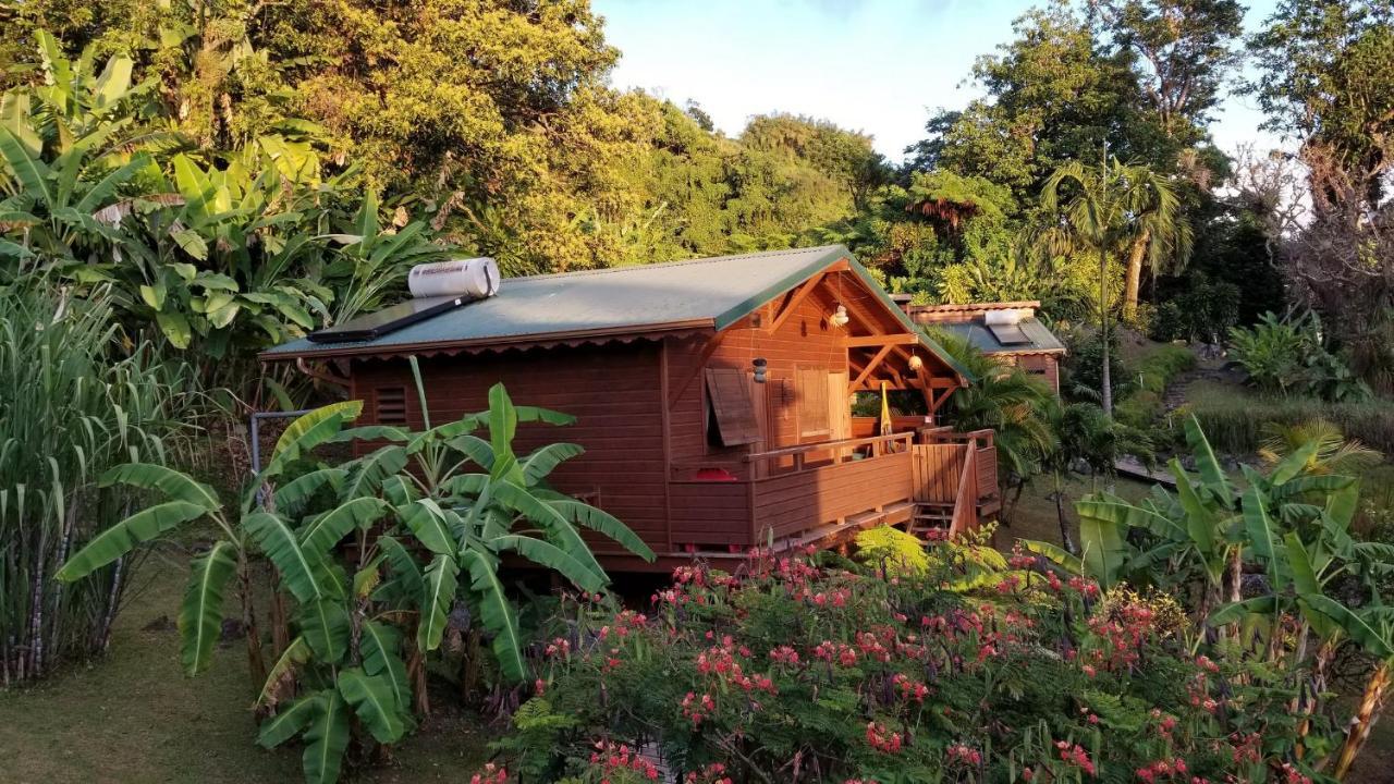 Les Bananes Vertes Ecolodges Saint-Claude Exteriér fotografie