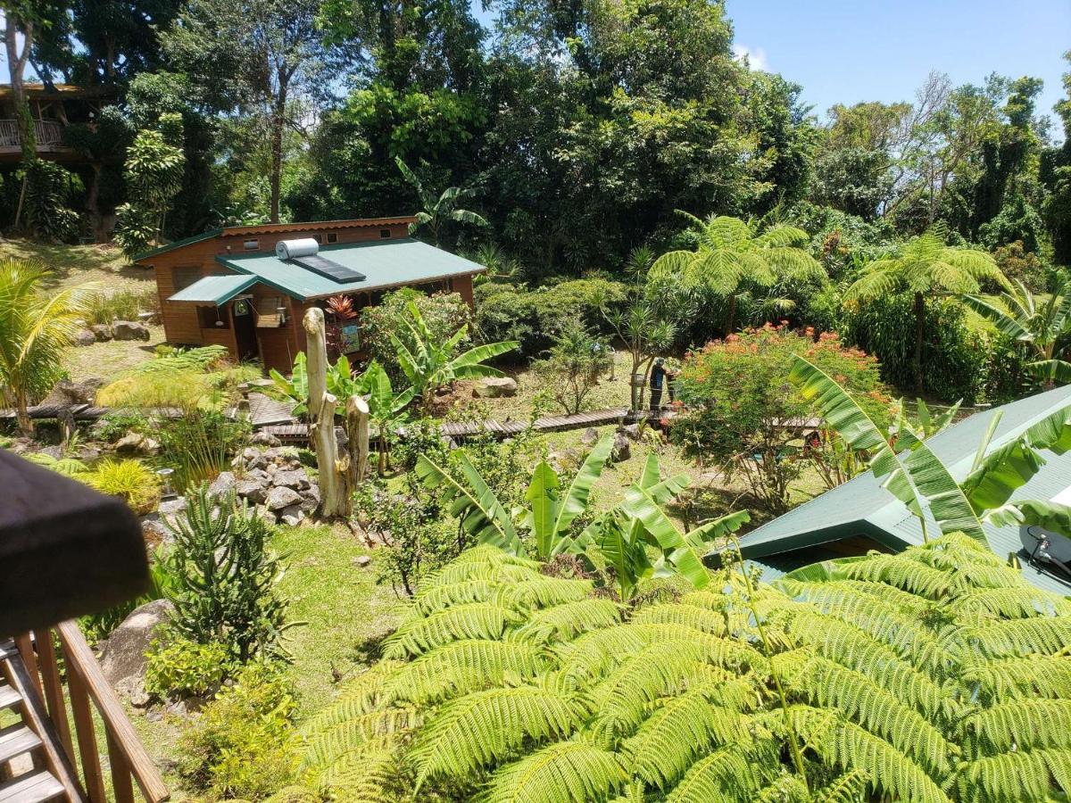 Les Bananes Vertes Ecolodges Saint-Claude Exteriér fotografie