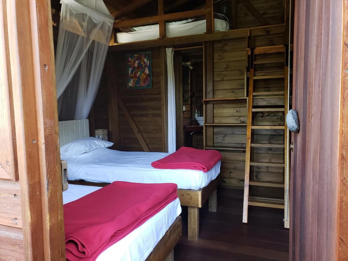 Les Bananes Vertes Ecolodges Saint-Claude Exteriér fotografie