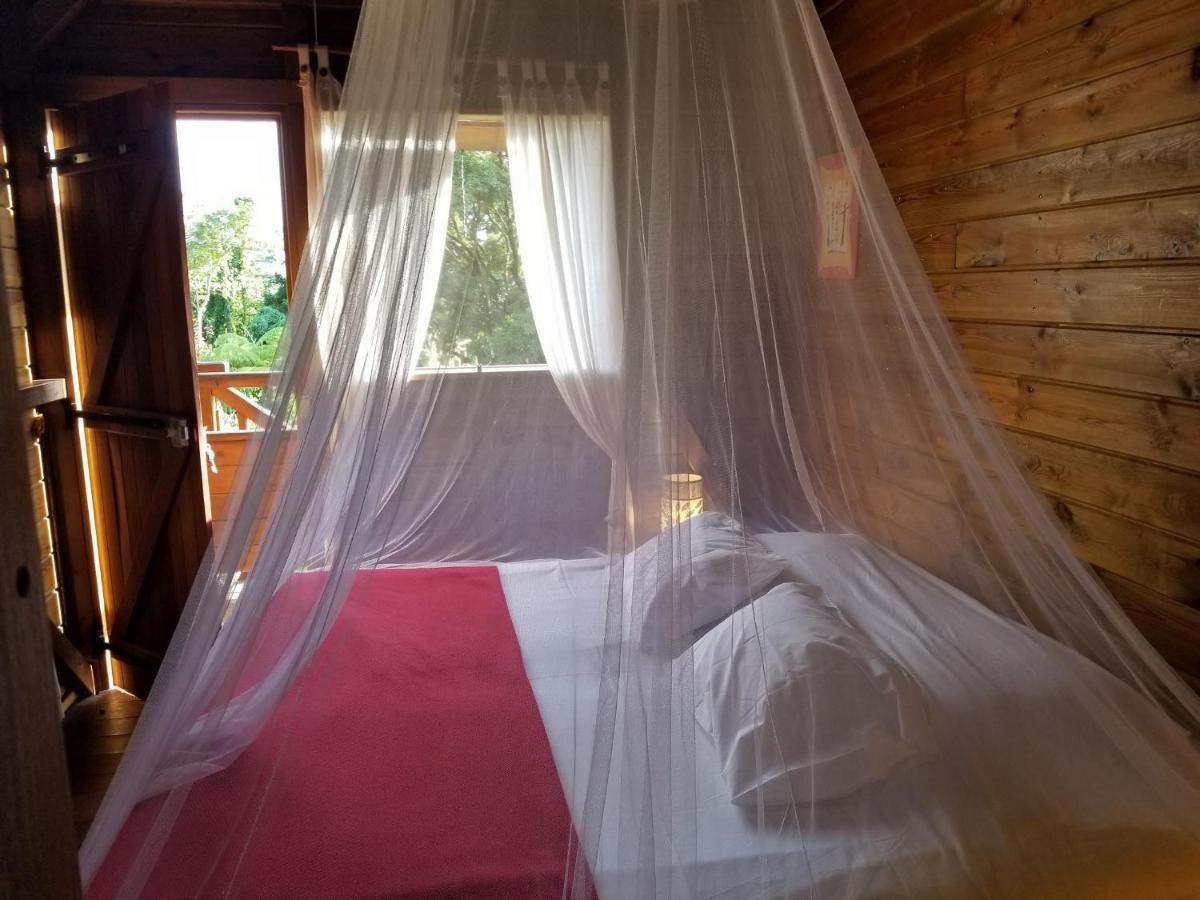 Les Bananes Vertes Ecolodges Saint-Claude Exteriér fotografie