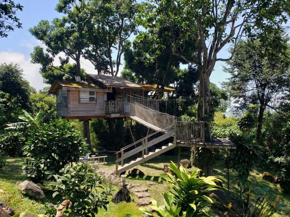 Les Bananes Vertes Ecolodges Saint-Claude Exteriér fotografie