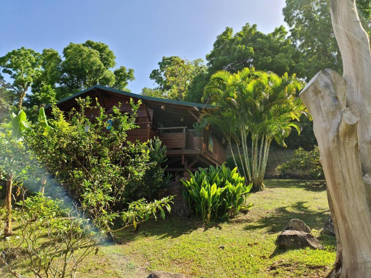 Les Bananes Vertes Ecolodges Saint-Claude Exteriér fotografie