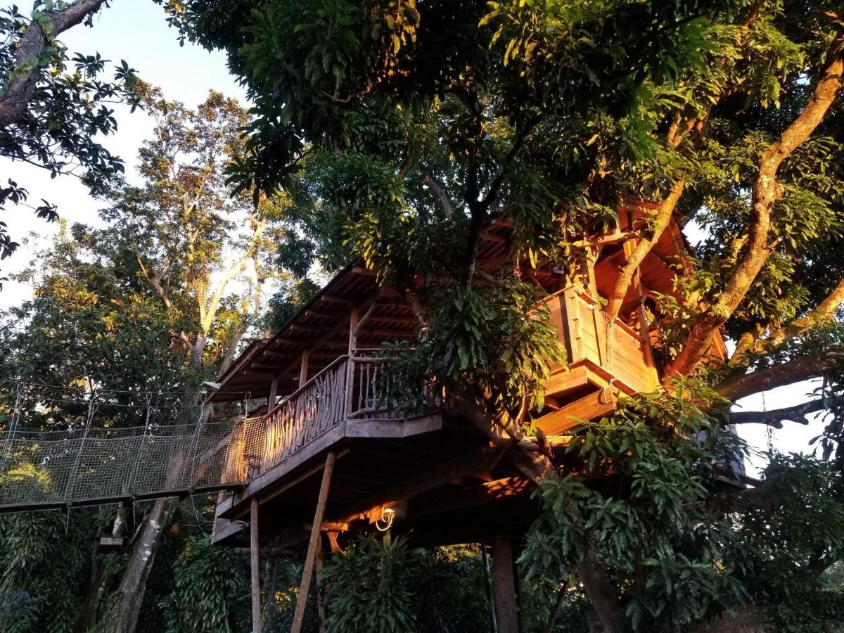 Les Bananes Vertes Ecolodges Saint-Claude Exteriér fotografie