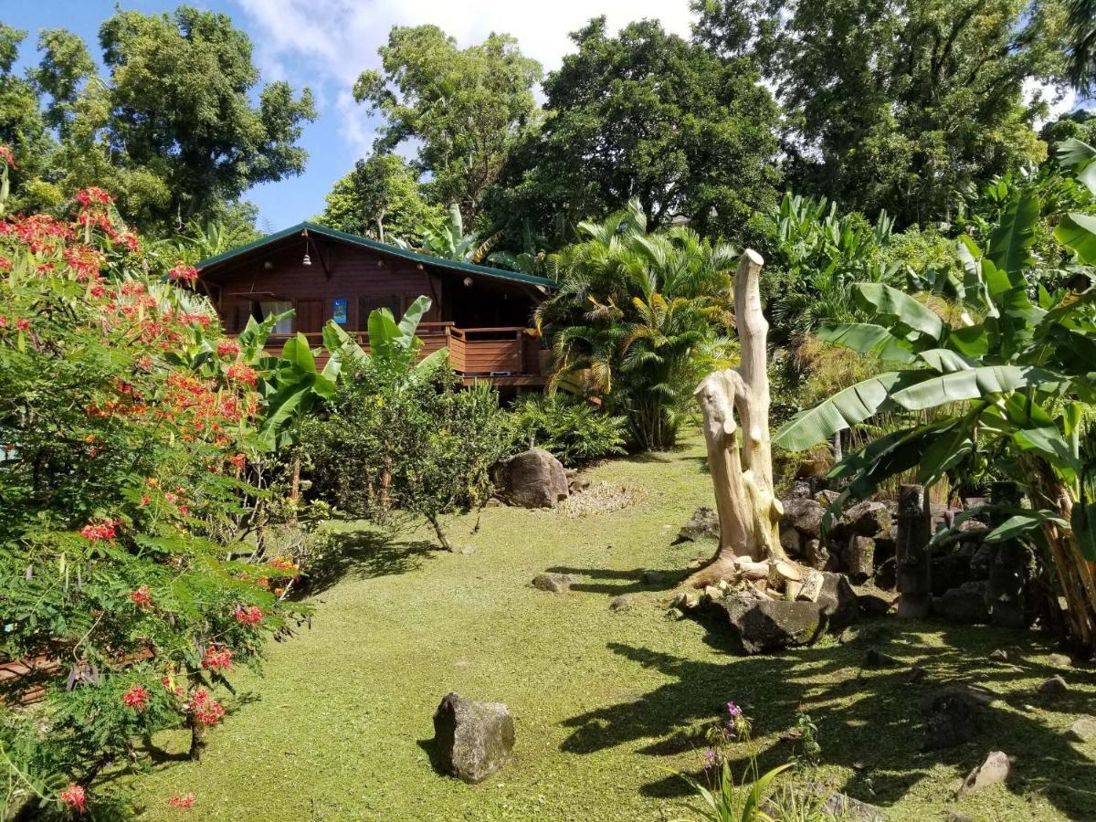 Les Bananes Vertes Ecolodges Saint-Claude Exteriér fotografie