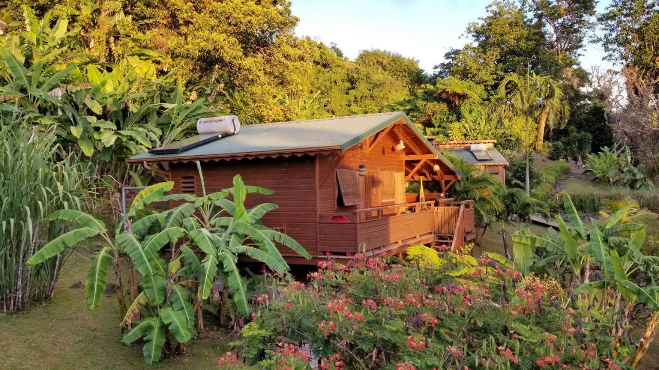 Les Bananes Vertes Ecolodges Saint-Claude Exteriér fotografie