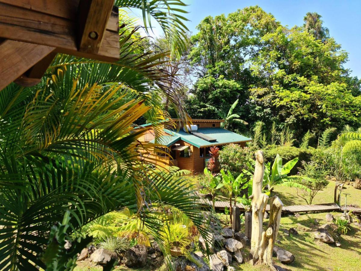 Les Bananes Vertes Ecolodges Saint-Claude Exteriér fotografie
