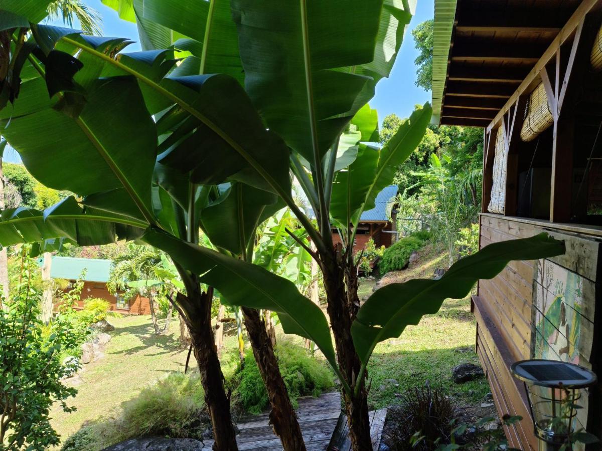 Les Bananes Vertes Ecolodges Saint-Claude Exteriér fotografie