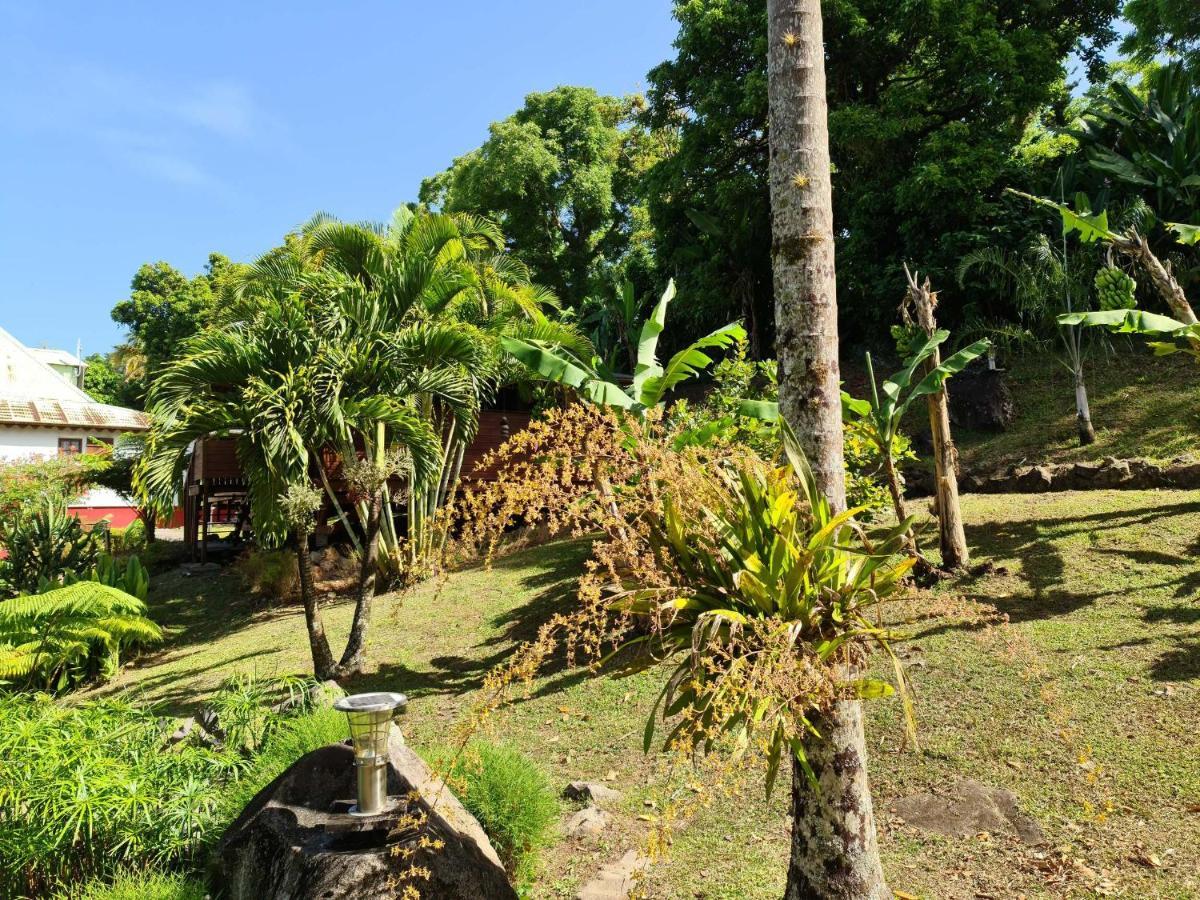 Les Bananes Vertes Ecolodges Saint-Claude Exteriér fotografie