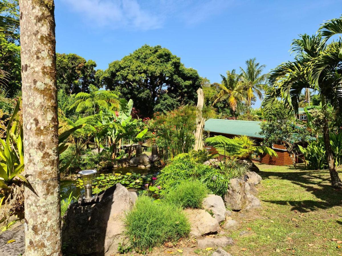Les Bananes Vertes Ecolodges Saint-Claude Exteriér fotografie