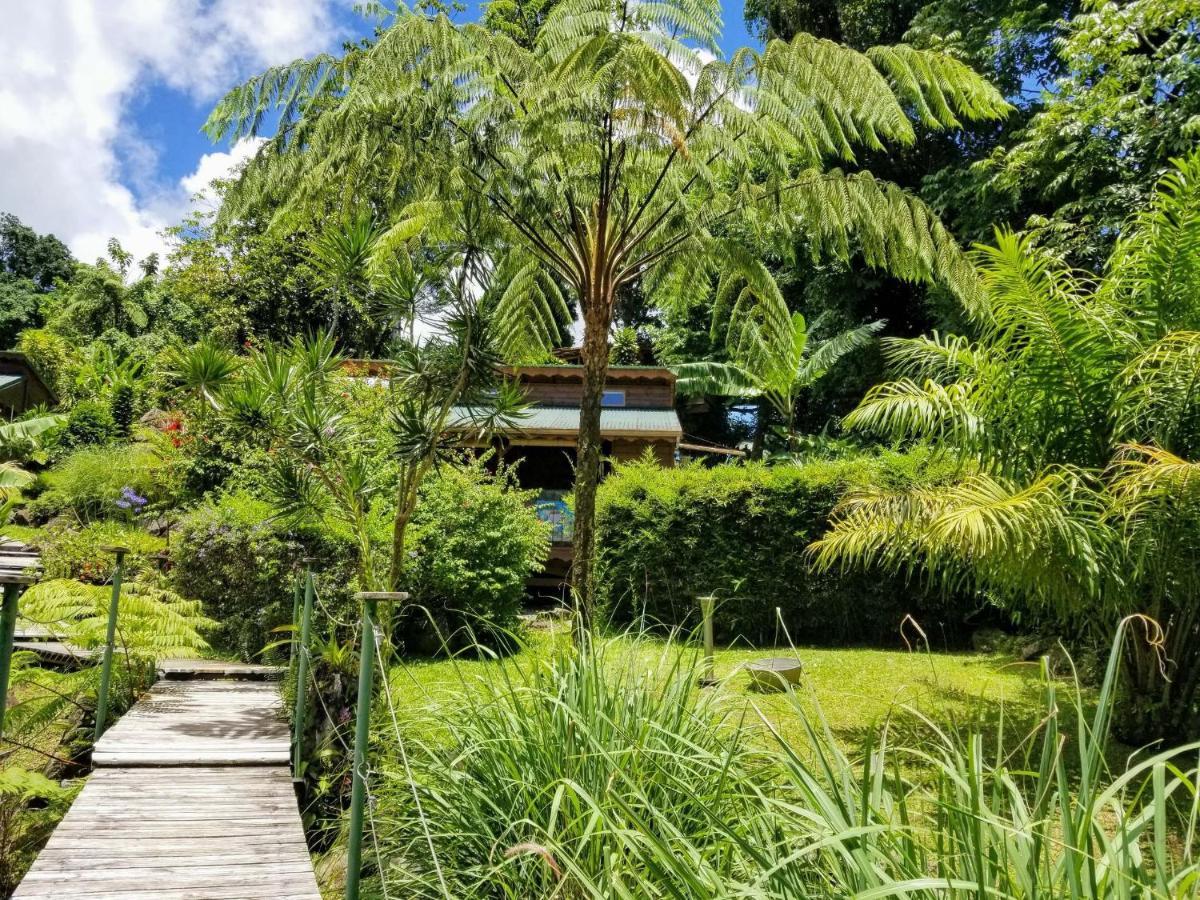 Les Bananes Vertes Ecolodges Saint-Claude Exteriér fotografie