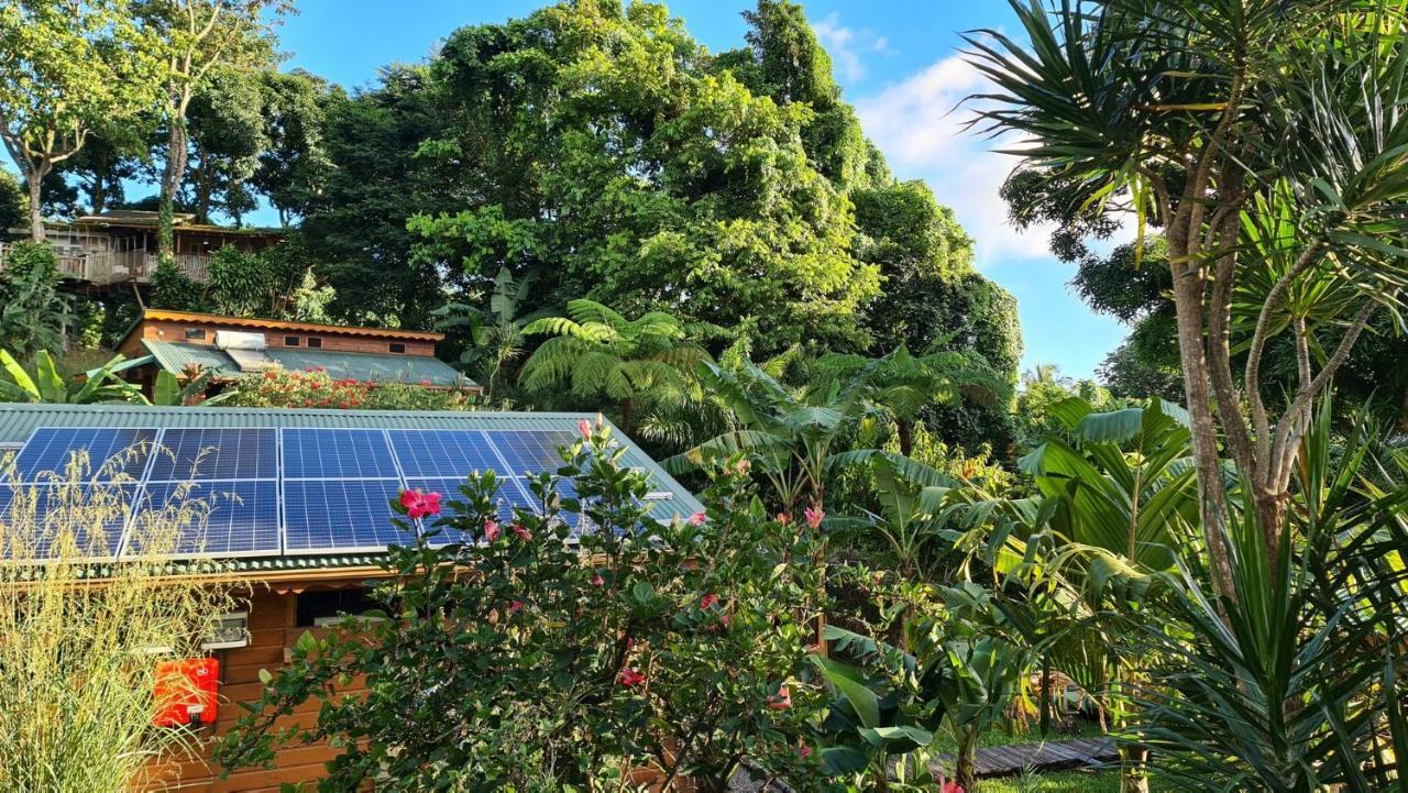 Les Bananes Vertes Ecolodges Saint-Claude Exteriér fotografie