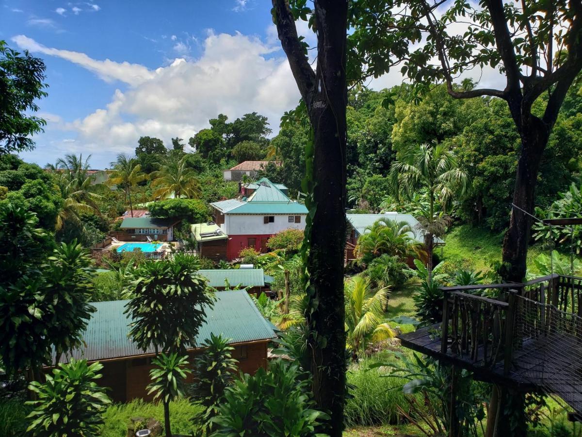 Les Bananes Vertes Ecolodges Saint-Claude Exteriér fotografie