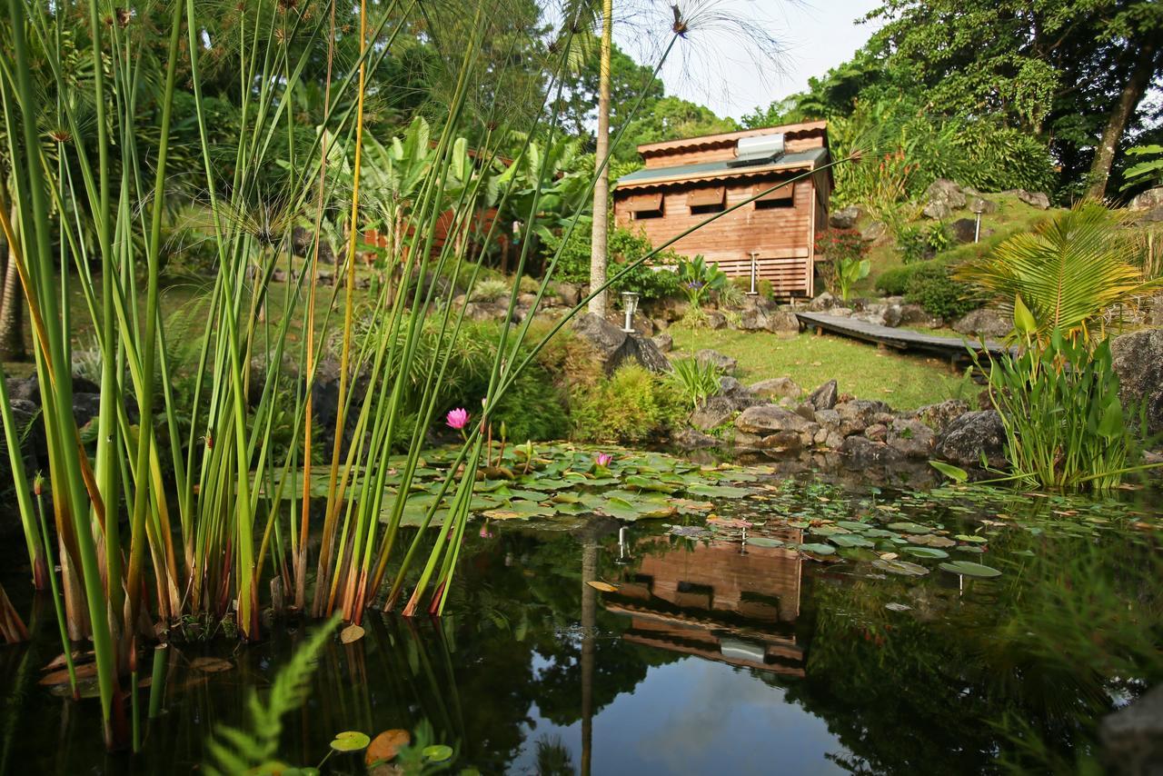 Les Bananes Vertes Ecolodges Saint-Claude Exteriér fotografie